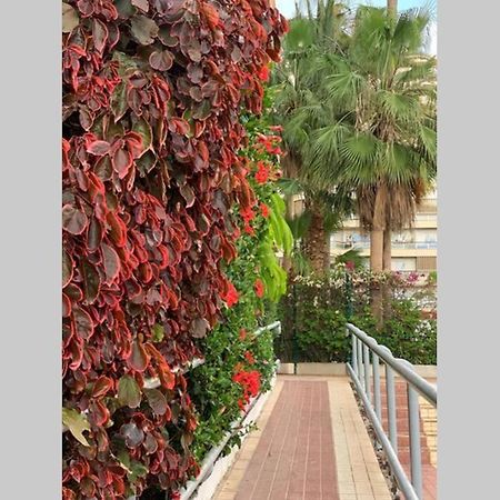Jardines Del Sur, Ocean View Buzanada Exterior foto