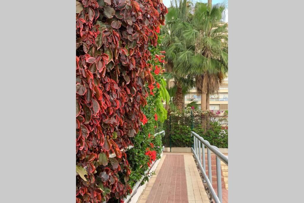Jardines Del Sur, Ocean View Buzanada Exterior foto